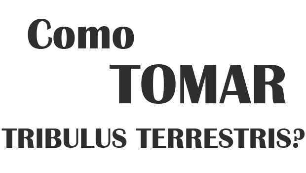 Como Tomar Tribulus Terrestris em pó 