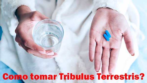 Como tomar Tribulus Terrestris